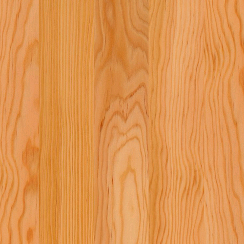 Oregon Pine Laminate